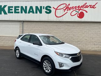Used 2019 Chevrolet Equinox LS image 1
