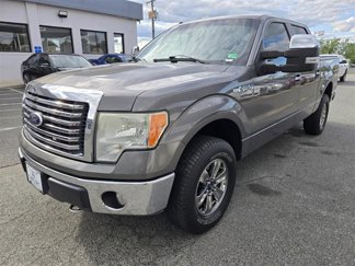 Used 2010 Ford F150 XLT image 1