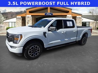 Certified 2023 Ford F150 XLT w/ Equipment Group 302A High image 1