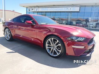 Used 2019 Ford Mustang Premium w/ Equipment Group 201A image 1