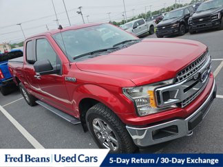 Certified 2019 Ford F150 XLT w/ Equipment Group 302A Luxury image 1