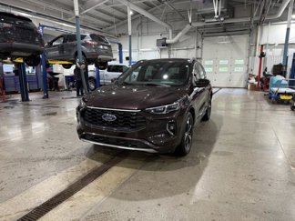 Certified 2023 Ford Escape ST-Line Elite w/ Premium Technology Package image 1