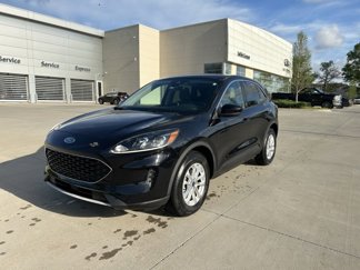 Used 2020 Ford Escape SE image 1