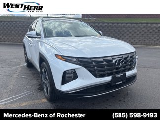 Used 2024 Hyundai Tucson Limited image 1