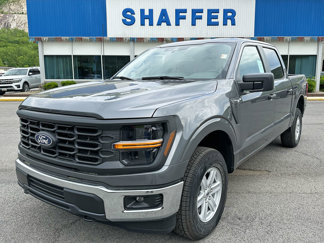 New 2025 Ford F150 XL w/ Equipment Group 103A High image 1
