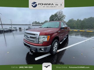 Used 2014 Ford F150 XLT w/ Equipment Group 302A Luxury image 1