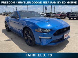 Used 2021 Ford Mustang Coupe w/ Black Accent Package image 1