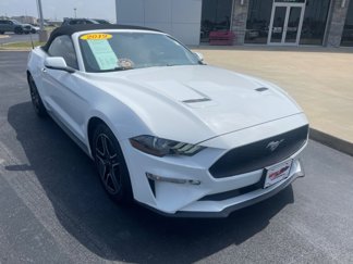Used 2019 Ford Mustang Premium image 1