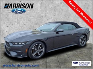 Certified 2024 Ford Mustang Premium image 1