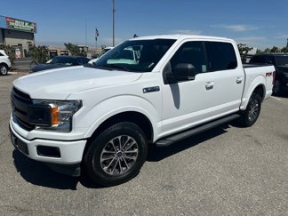 Used 2019 Ford F150 XLT w/ Equipment Group 302A Luxury image 1