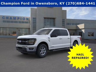 New 2025 Ford F150 XLT w/ Equipment Group 301A Standard image 1