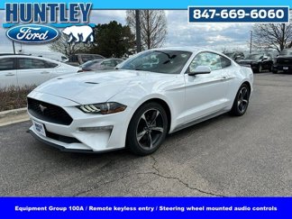 Used 2019 Ford Mustang Coupe image 1