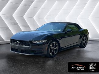 Used 2024 Ford Mustang Premium image 1