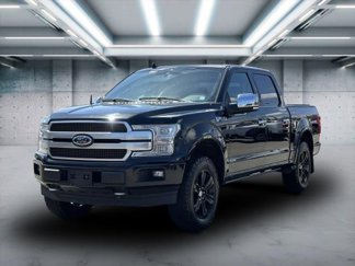 Used 2019 Ford F150 Platinum w/ Equipment Group 701A Luxury image 1