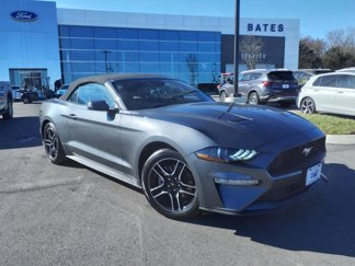 Certified 2022 Ford Mustang Premium image 1