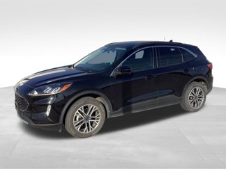 Used 2020 Ford Escape SEL video 1