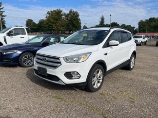 Used 2019 Ford Escape SEL image 1