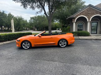 Used 2020 Ford Mustang Premium w/ Equipment Group 201A image 1