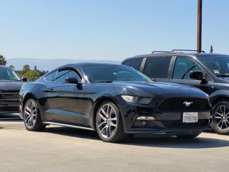 Used 2015 Ford Mustang Premium w/ Equipment Group 201A image 1