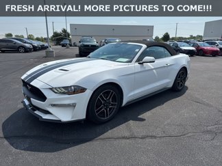 Used 2023 Ford Mustang Premium w/ Equipment Group 201A image 1