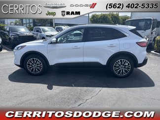 Used 2022 Ford Escape SEL image 1