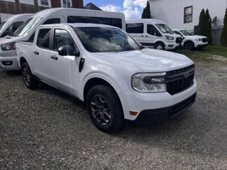 New 2024 Ford Maverick XLT w/ Equipment Group 300A Standard image 1