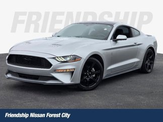 Used 2019 Ford Mustang Coupe w/ Black Accent Package video 1