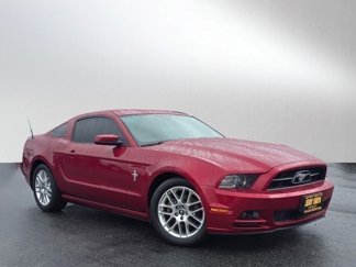 Used 2014 Ford Mustang Premium w/ Equipment Group 202A image 1