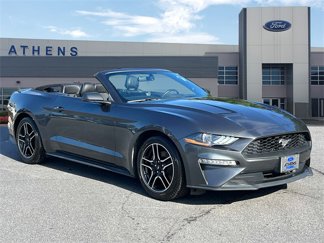 Certified 2020 Ford Mustang Premium image 1