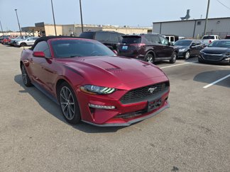 Used 2019 Ford Mustang Premium w/ Equipment Group 201A image 1