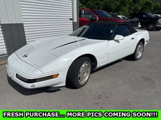 Used 1995 Chevrolet Corvette Convertible image 1