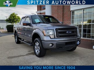 Used 2014 Ford F150 FX4 image 1
