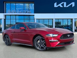 Used 2019 Ford Mustang Coupe w/ Equipment Group 101A image 1