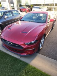 Used 2020 Ford Mustang Premium w/ Pony Package image 1