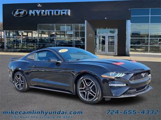 Used 2019 Ford Mustang Premium w/ Equipment Group 201A image 1