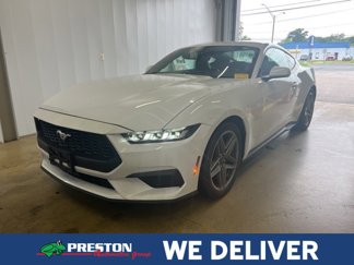 Used 2024 Ford Mustang Coupe image 1