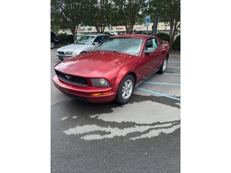 Used 2006 Ford Mustang Coupe image 1