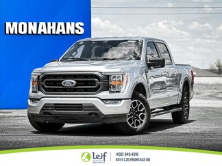 Used 2023 Ford F150 XLT w/ Equipment Group 302A High image 1