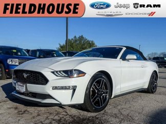 Used 2022 Ford Mustang Premium image 1