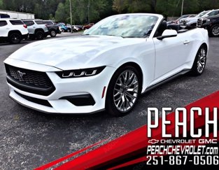 Used 2024 Ford Mustang Premium image 1