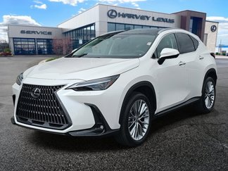 New 2025 Lexus NX 350 AWD w/ Accessory Package (2T) image 1