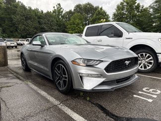 Used 2022 Ford Mustang Premium image 1