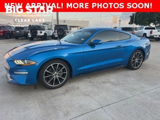 Used 2019 Ford Mustang Premium w/ Equipment Group 201A image 1