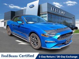 Used 2020 Ford Mustang Convertible w/ Equipment Group 101A image 1