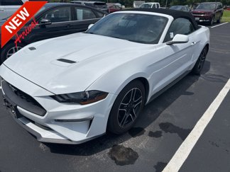 Used 2023 Ford Mustang Premium image 1