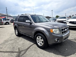 Used 2012 Ford Escape Limited image 1