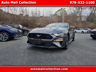 Used 2019 Ford Mustang Premium image 1