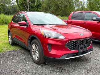 Used 2020 Ford Escape SE image 1