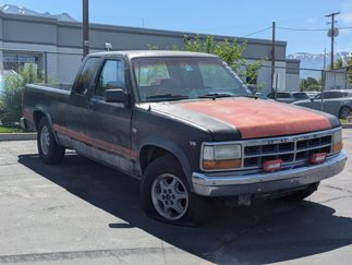Used 1995 Dodge Dakota 2WD Club Cab image 1