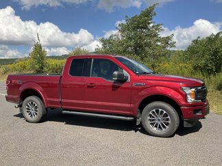 Used 2019 Ford F150 XLT w/ Equipment Group 302A Luxury image 1